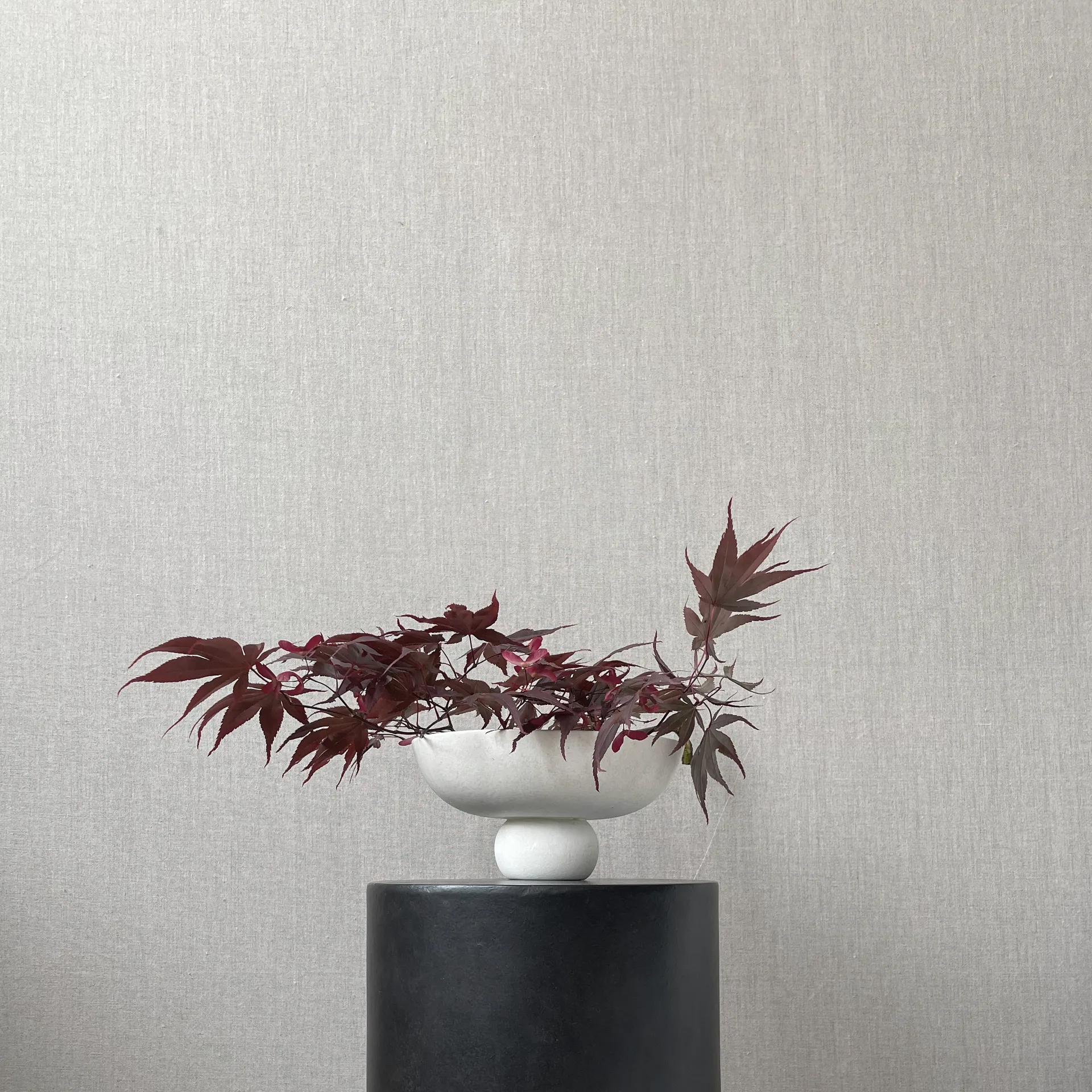 61cff2ed-7b65-433d-bd94-ed6375af83f4