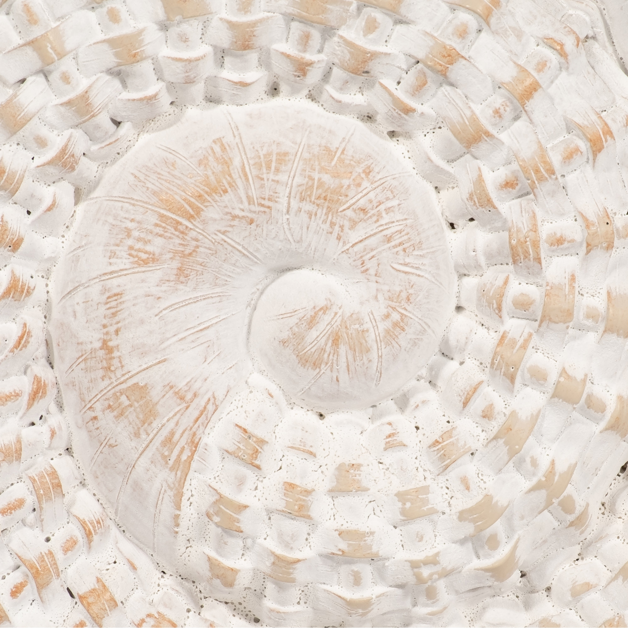 Ceramic+Shell+Figurine+-+Elegant+Home+Decor+Accent+Piece+-+7_+x+3_+x+7_-466833403 (4)